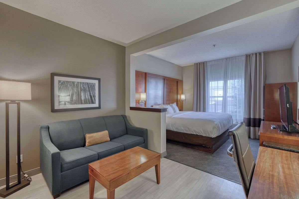 A hotel room with a bed, a sofa, a desk, a TV, and a picture on the wall.