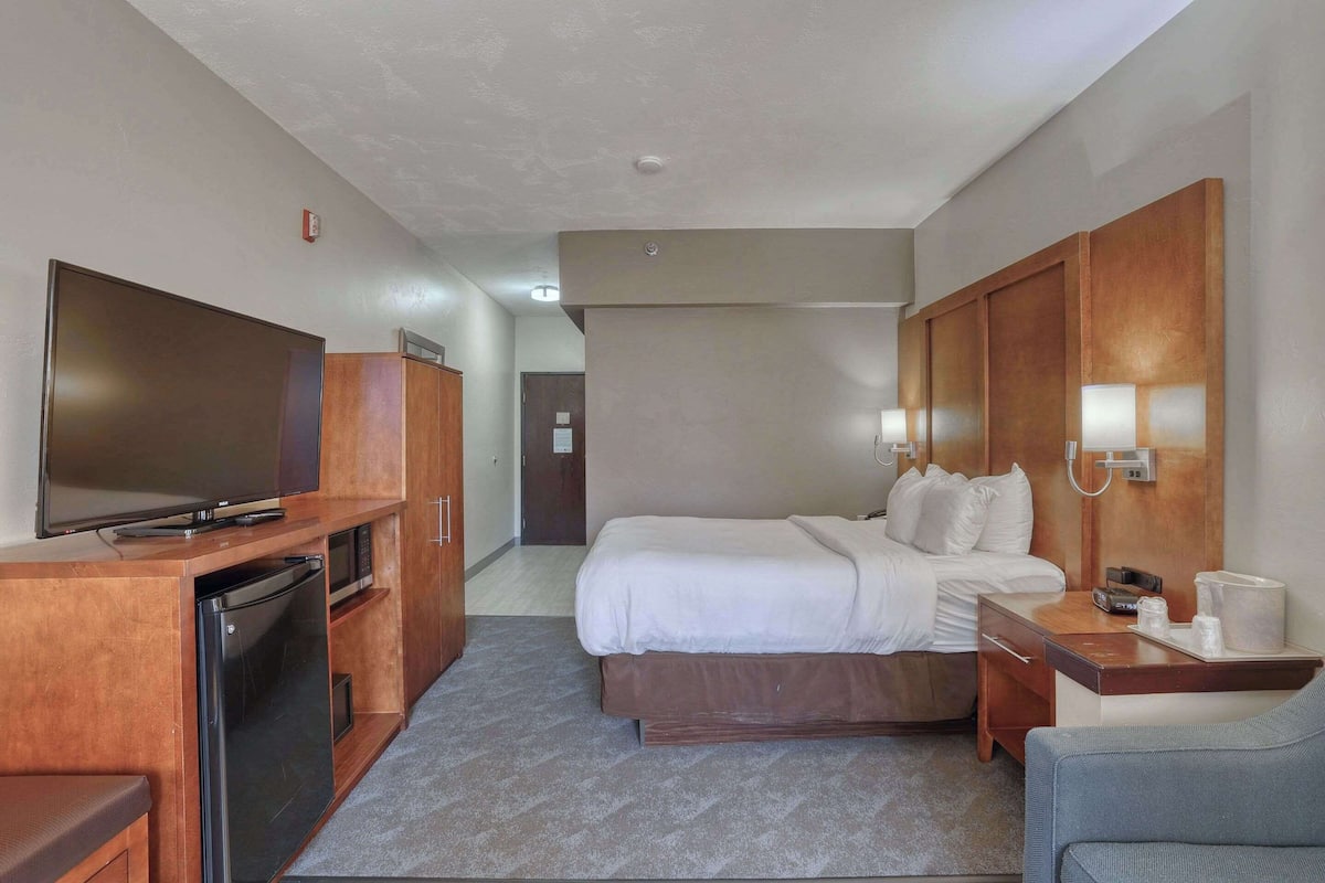 A hotel room with a bed, a desk, a television, and a mini-fridge.