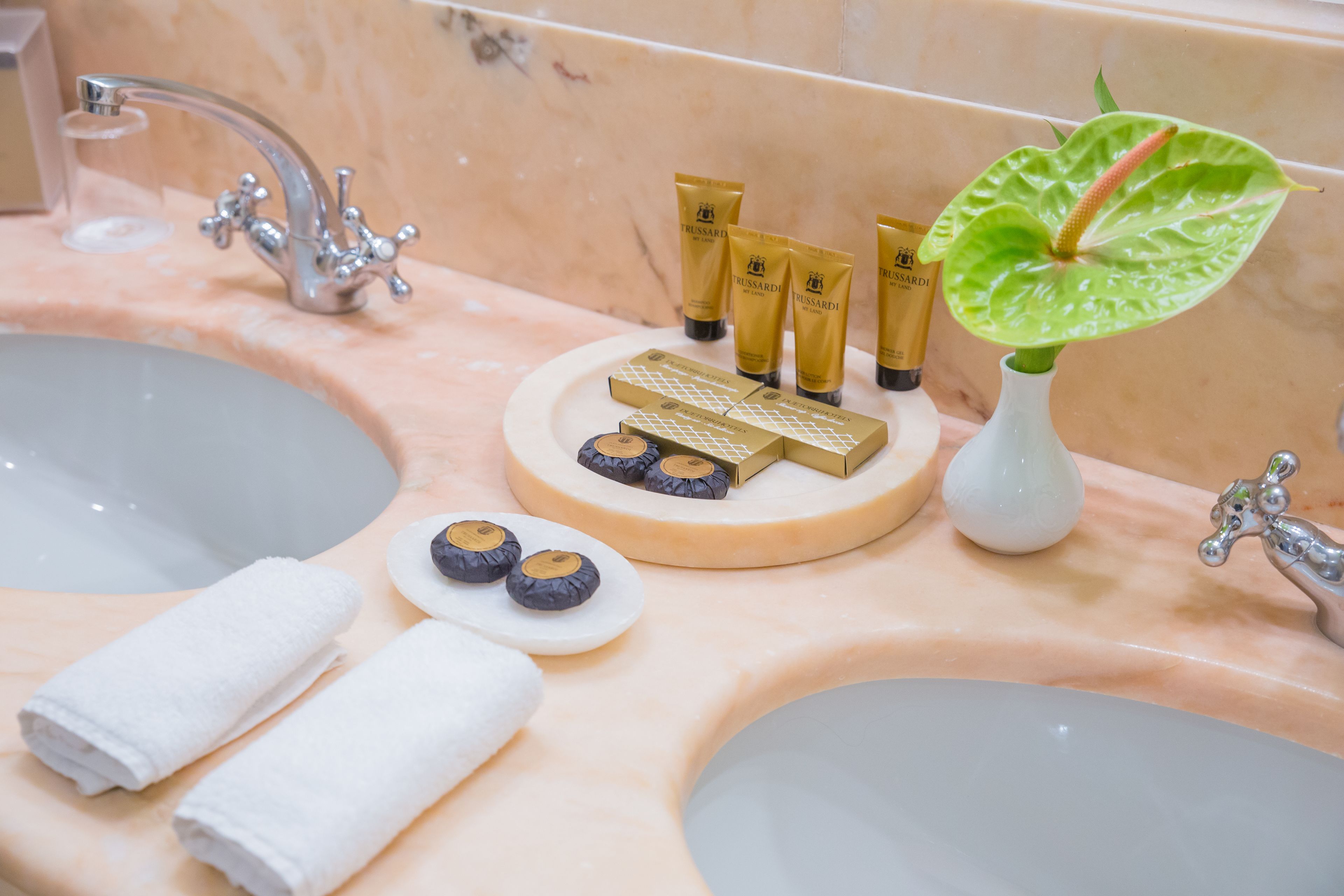 Un lavabo de salle de bain avec des articles de toilette, des serviettes et une plante.