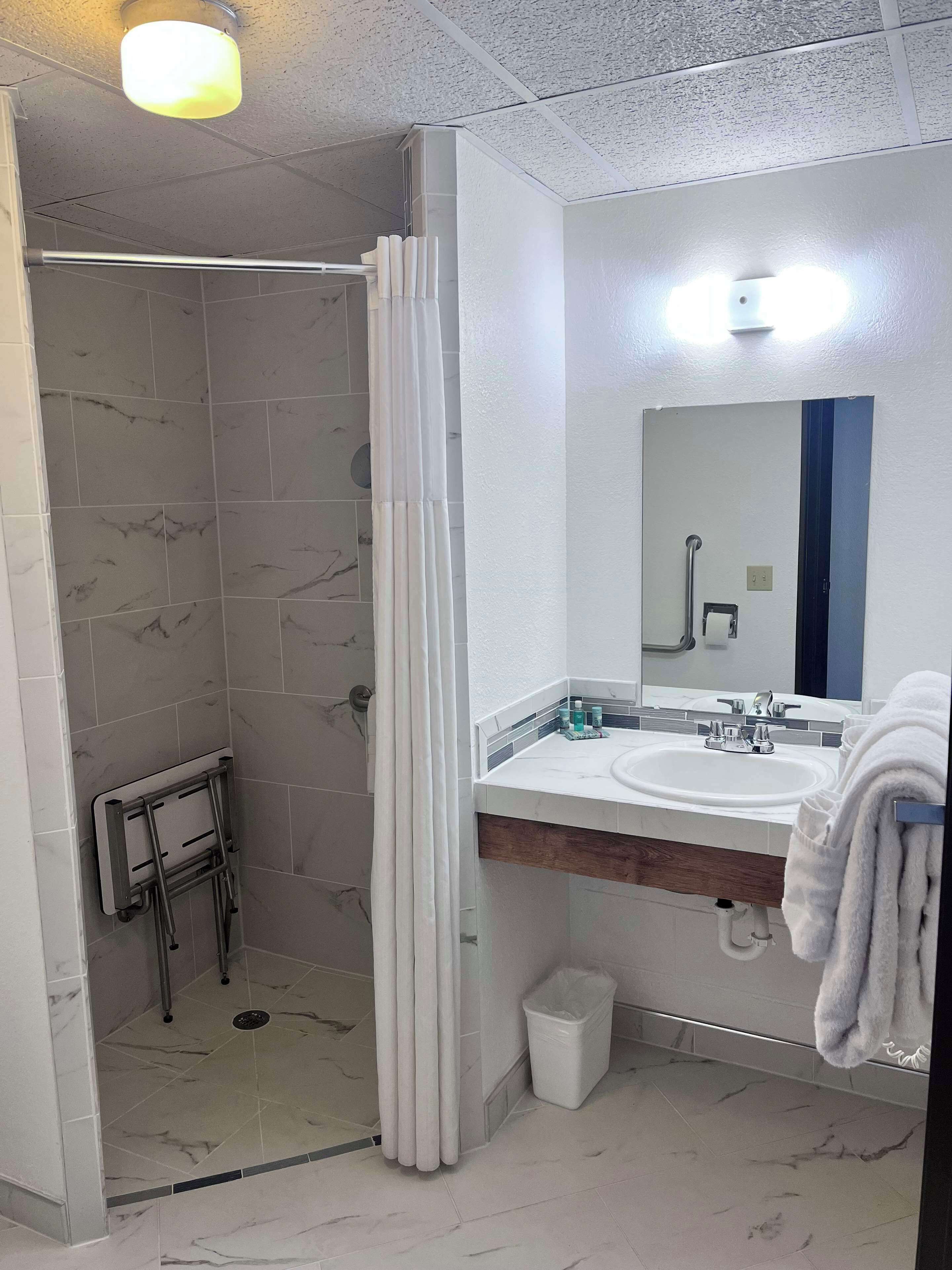 standard room, 1 queen bed, accessible, refrigerator & microwave | accessible bathroom