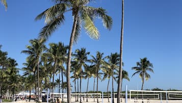 A beach volleyball court with palm trees and a clear sky.