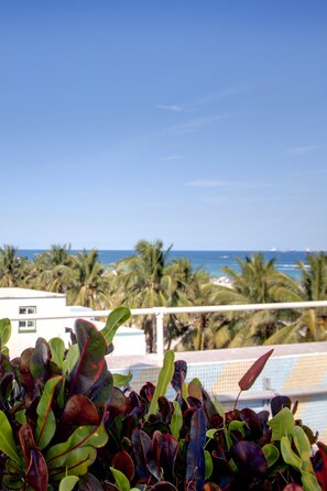 บริเวณภายนอก