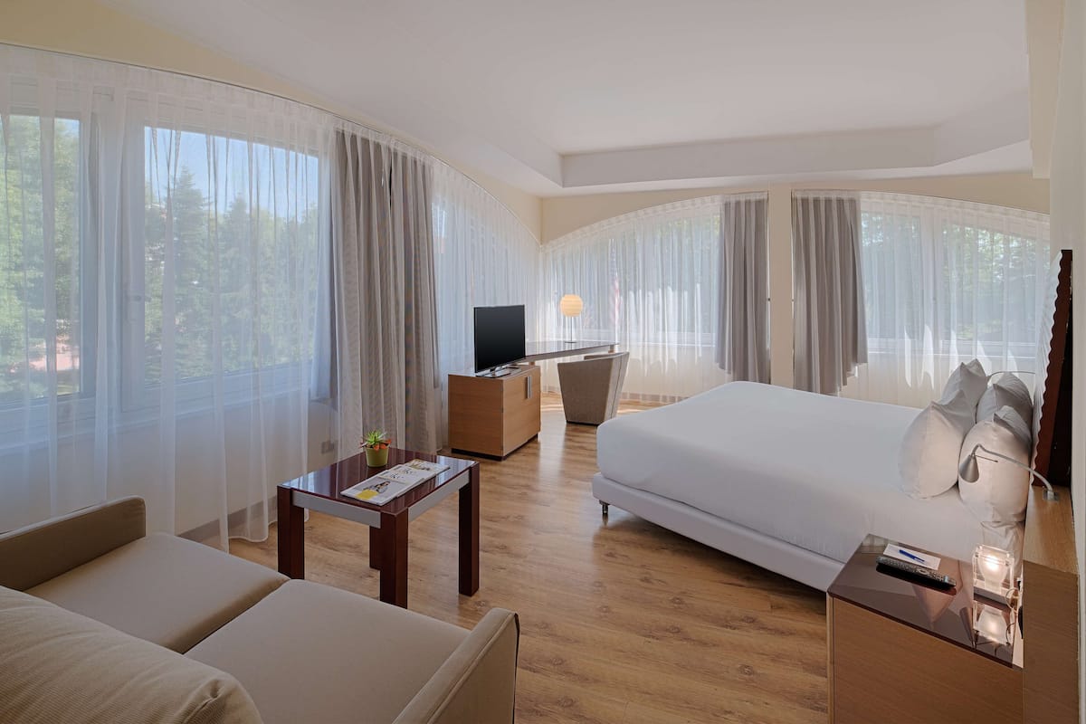 A hotel room with a large bed, a desk, a chair, and a TV.