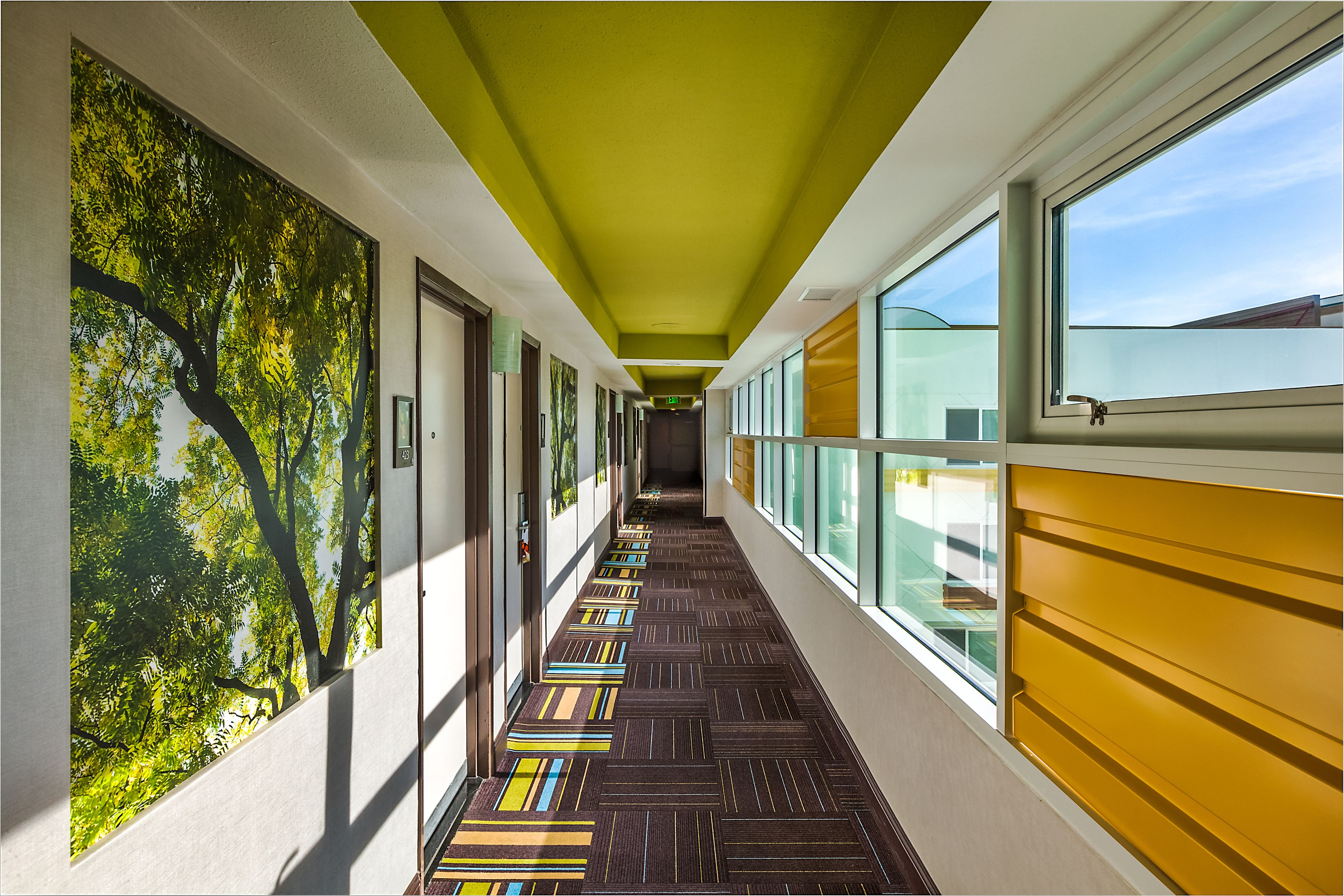 Foto - Hotel Indigo Anaheim by IHG