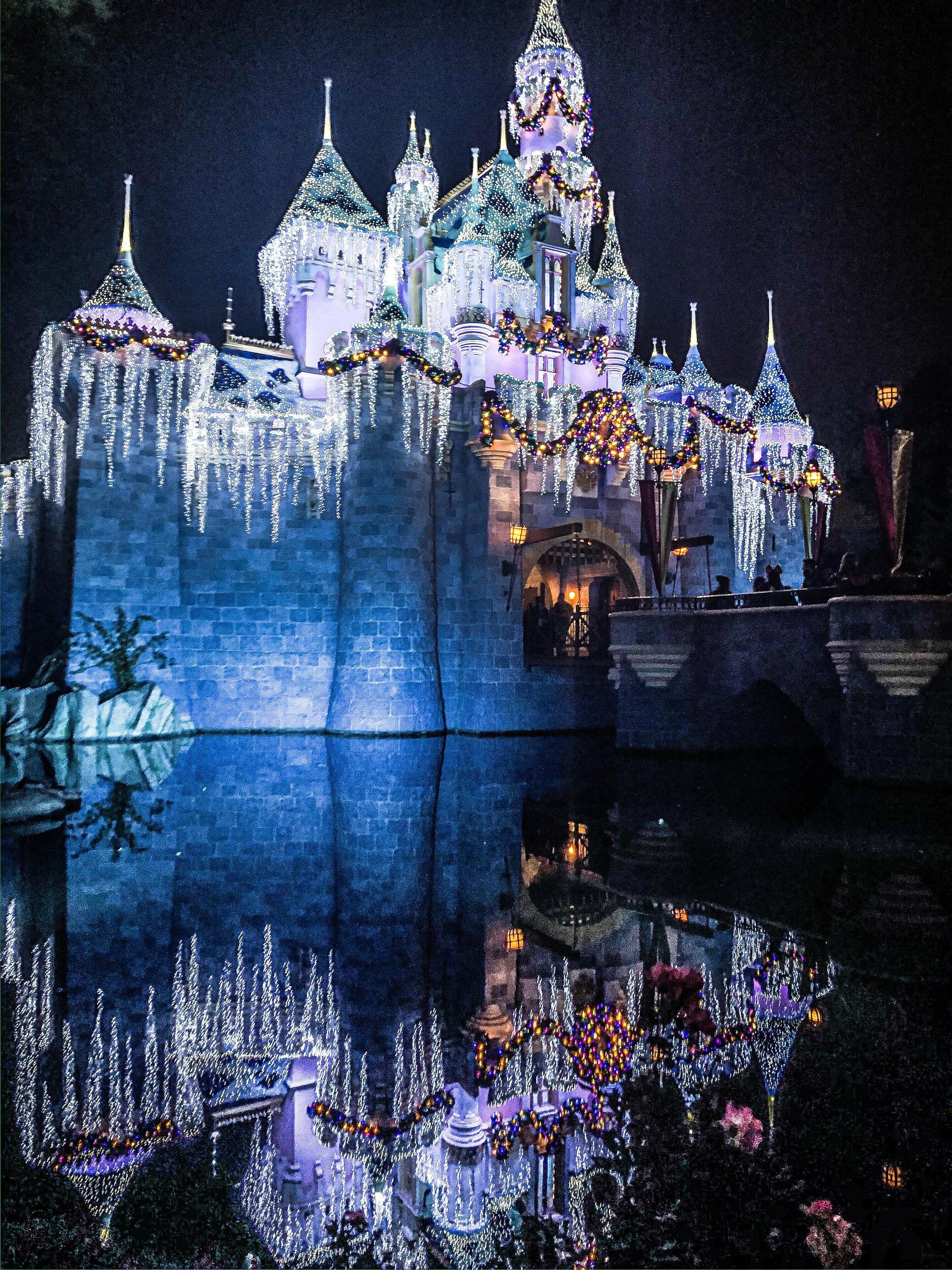 Foto - Hotel Indigo Anaheim by IHG