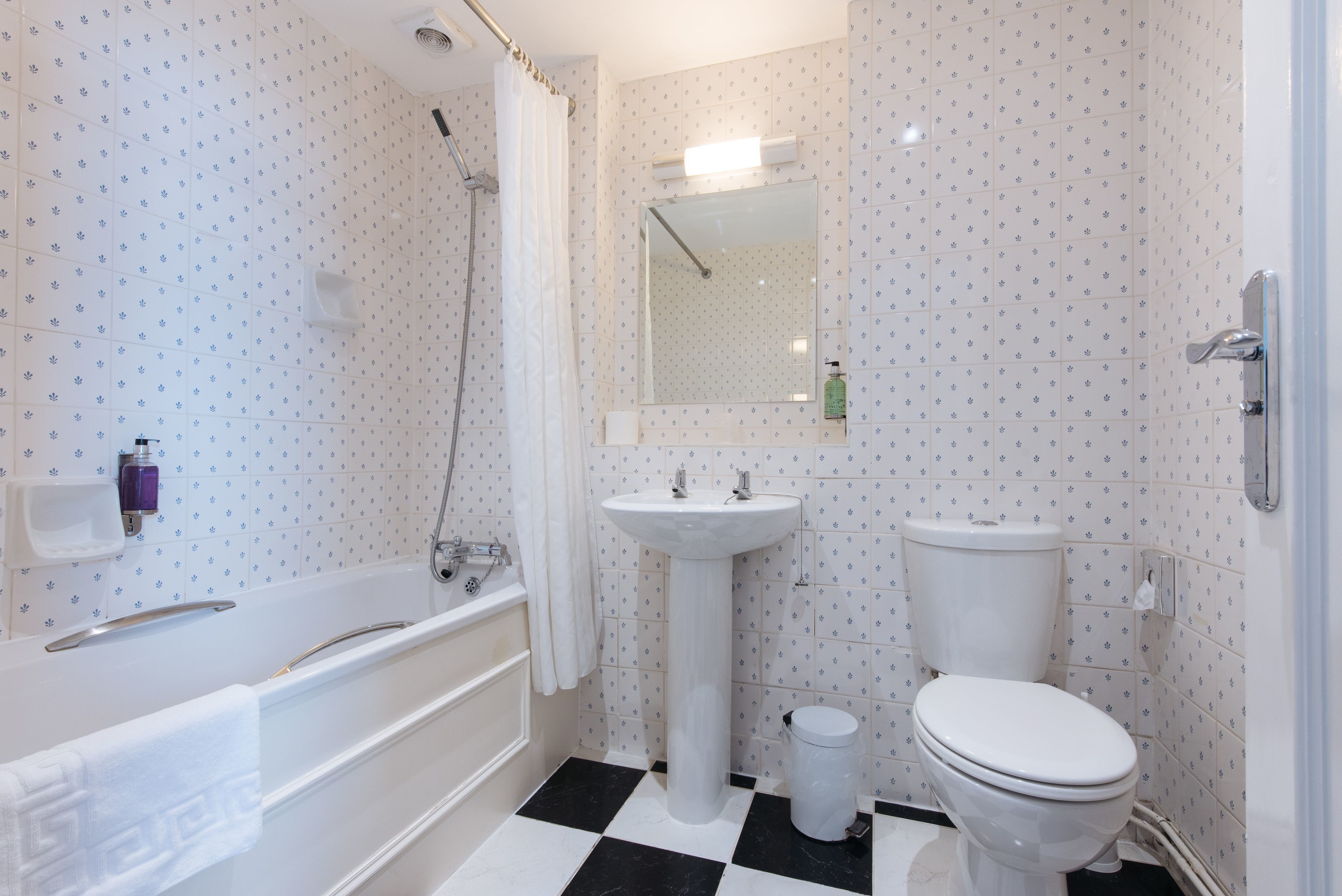 combined shower/bathtub, free toiletries, hair dryer, towels