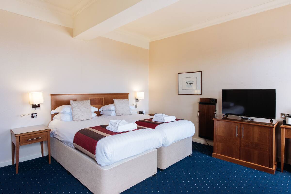 A double bed with two pillows, a bedside table, a TV, and a wooden cabinet in a hotel room.