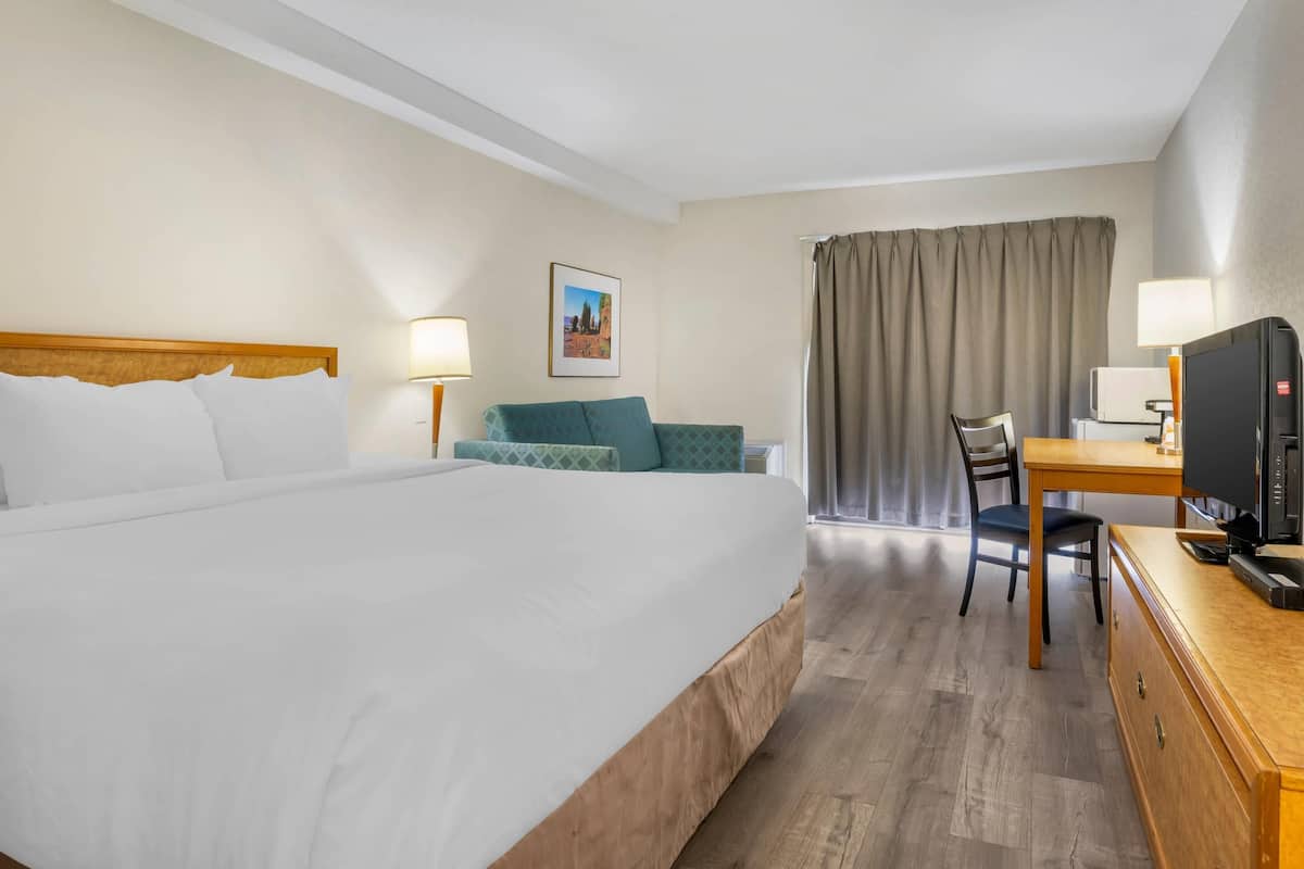 Habitación estándar, 1 cama King size, para no fumadores | Escritorio, cortinas blackout y tabla de planchar con plancha