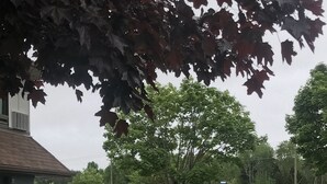 Uma área ao ar livre com grama, mesas e cadeiras para piquenique, um pequeno edifício e uma estrada ao fundo.