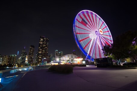 Ambassador Chicago, part of JdV by Hyatt - Image 13