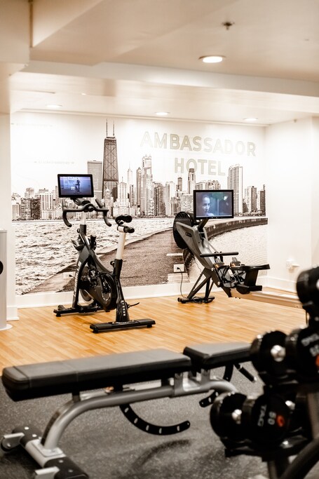 Ambassador Chicago, part of JdV by Hyatt - Image 16