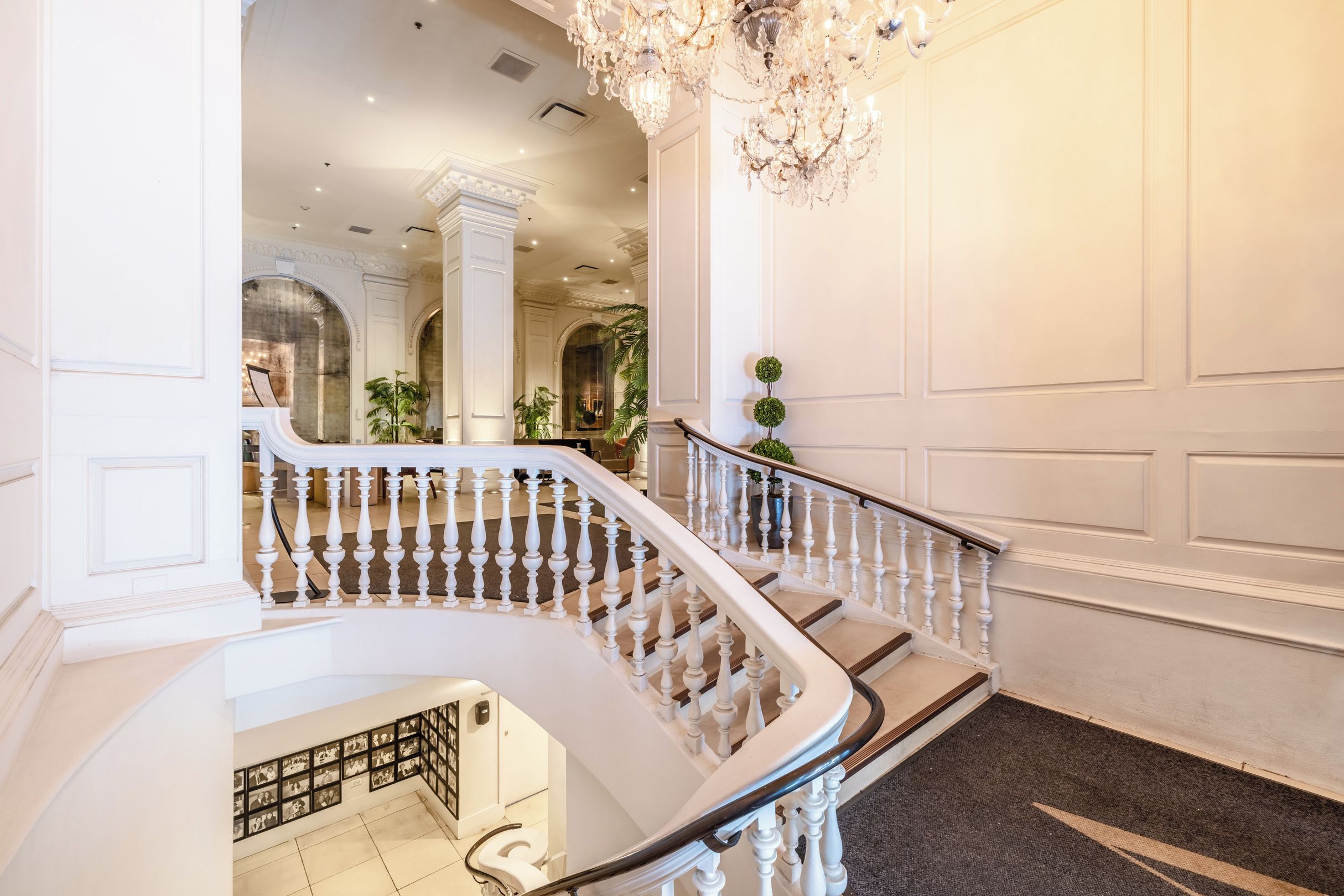 A grand staircase with white balusters and a black handrail, leading to a landing with a chandelier and potted plants.