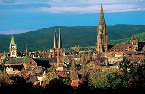 A historic town with prominent church spires and traditional architecture. - Hotel Freiburg City Center by Leonardo Hotels (Freiburg im Breisgau)