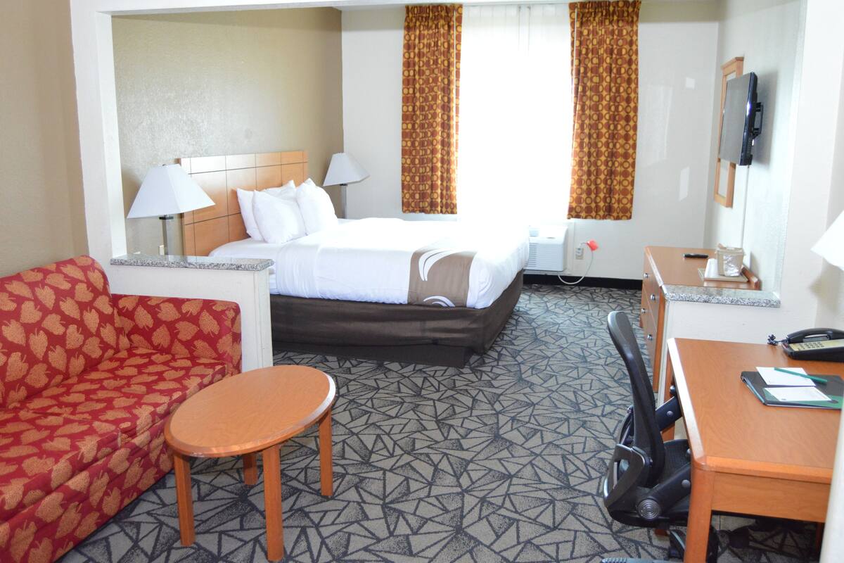 A hotel room with a bed, a desk, a chair, a sofa, and a small table.