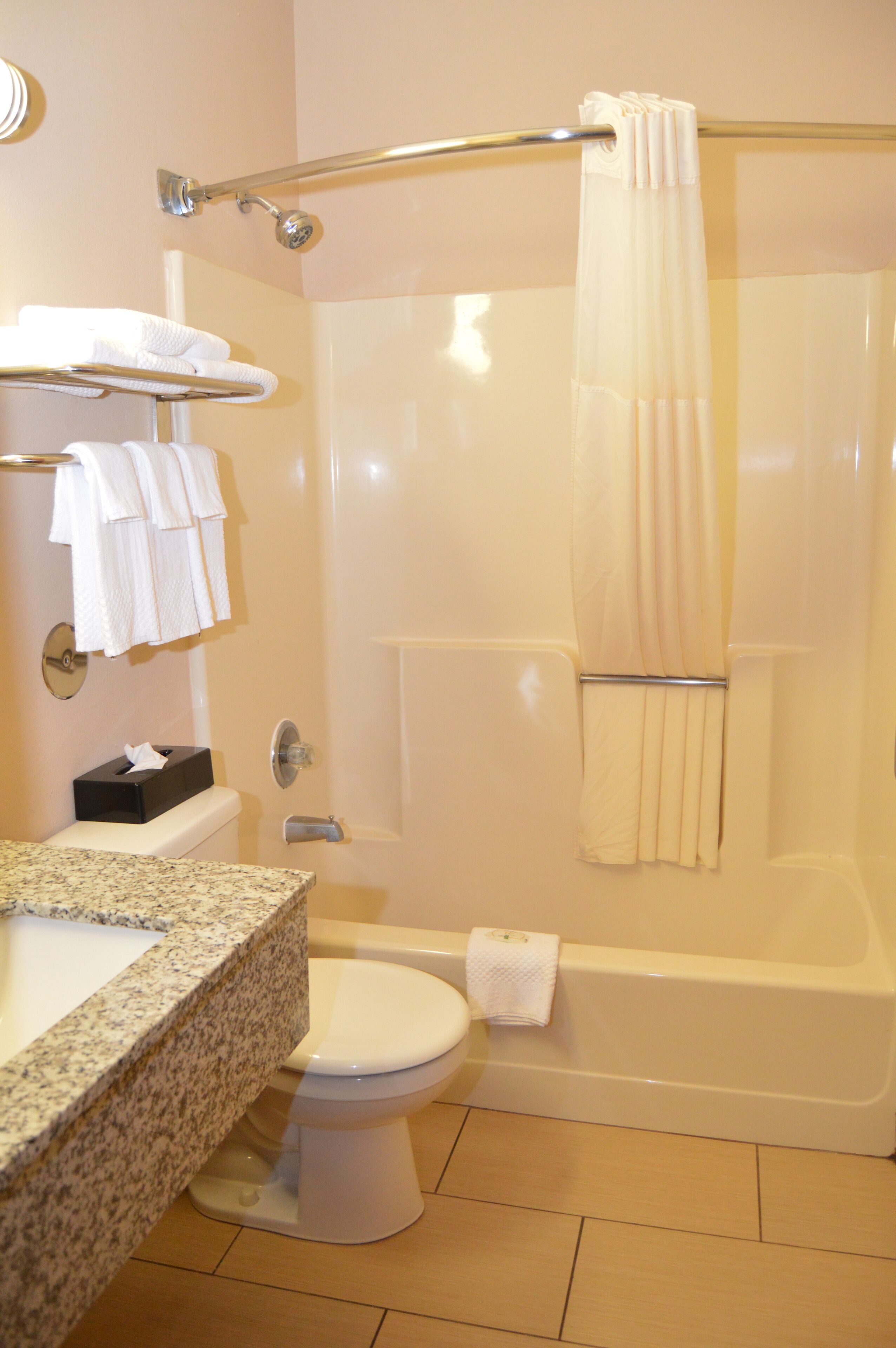Une salle de bain avec douche, toilettes et lavabo.