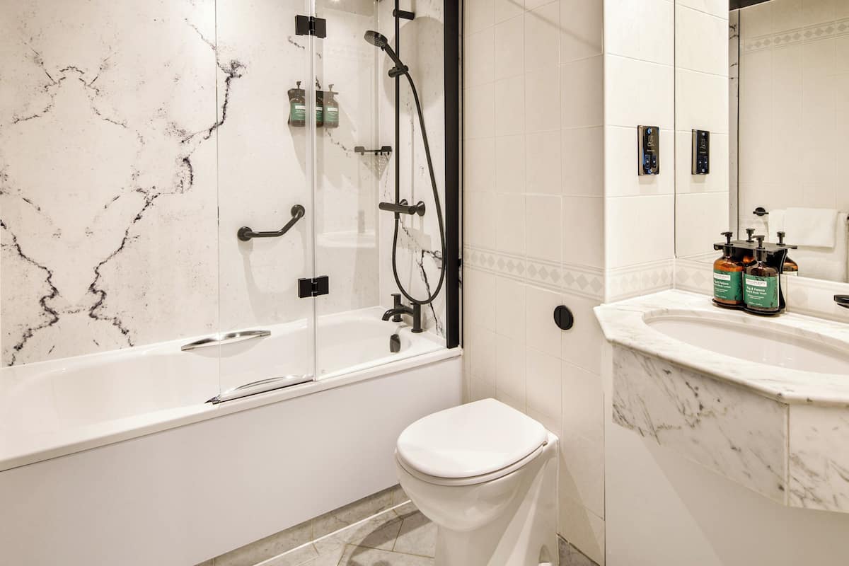 combined shower/bathtub, free toiletries, hair dryer, bathrobes