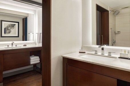 Embassy Suites by Hilton Indianapolis Downtown - Image 22