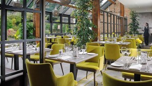 Un restaurante con sillas amarillas, mesas dispuestas con copas de vino y vistas a zonas verdes a través de amplios ventanales.