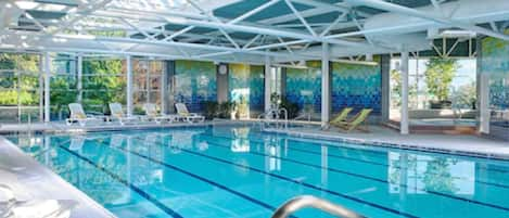 Indoor pool, sun loungers