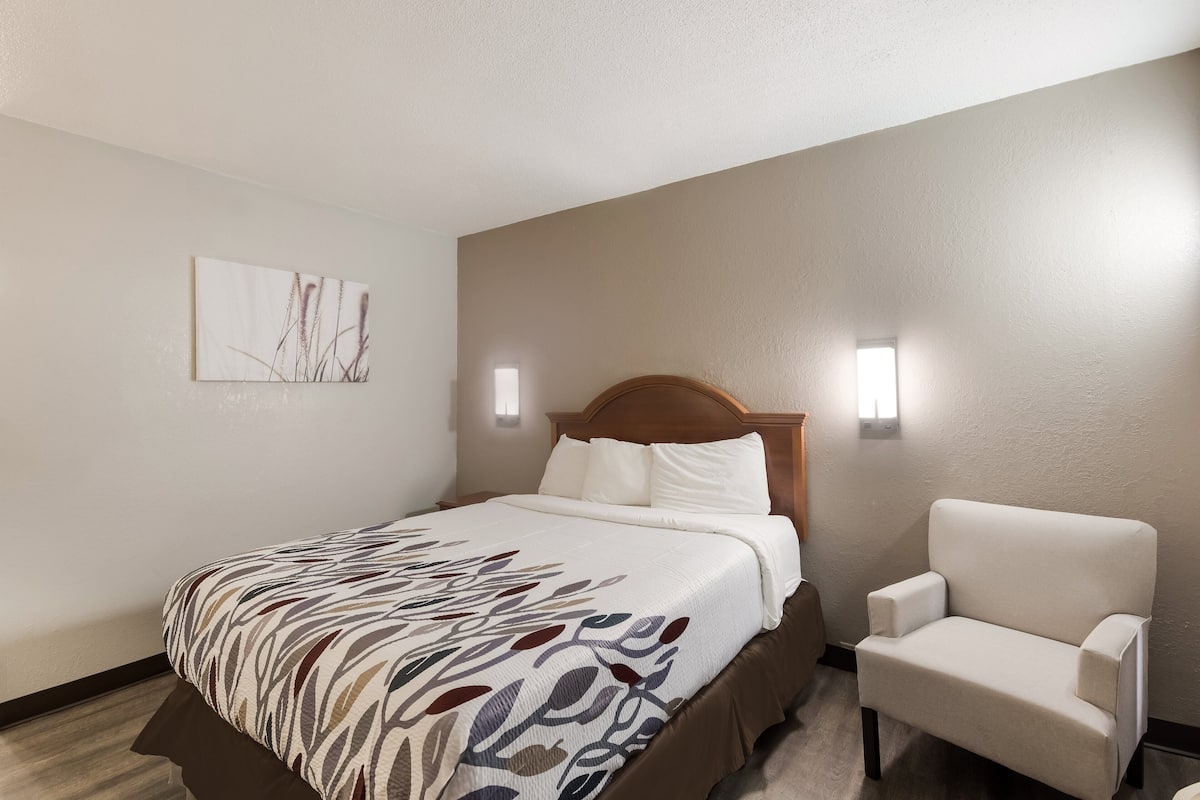 Deluxe Room, 1 Queen Bed, Non Smoking | Desk, laptop workspace, iron/ironing board, free WiFi