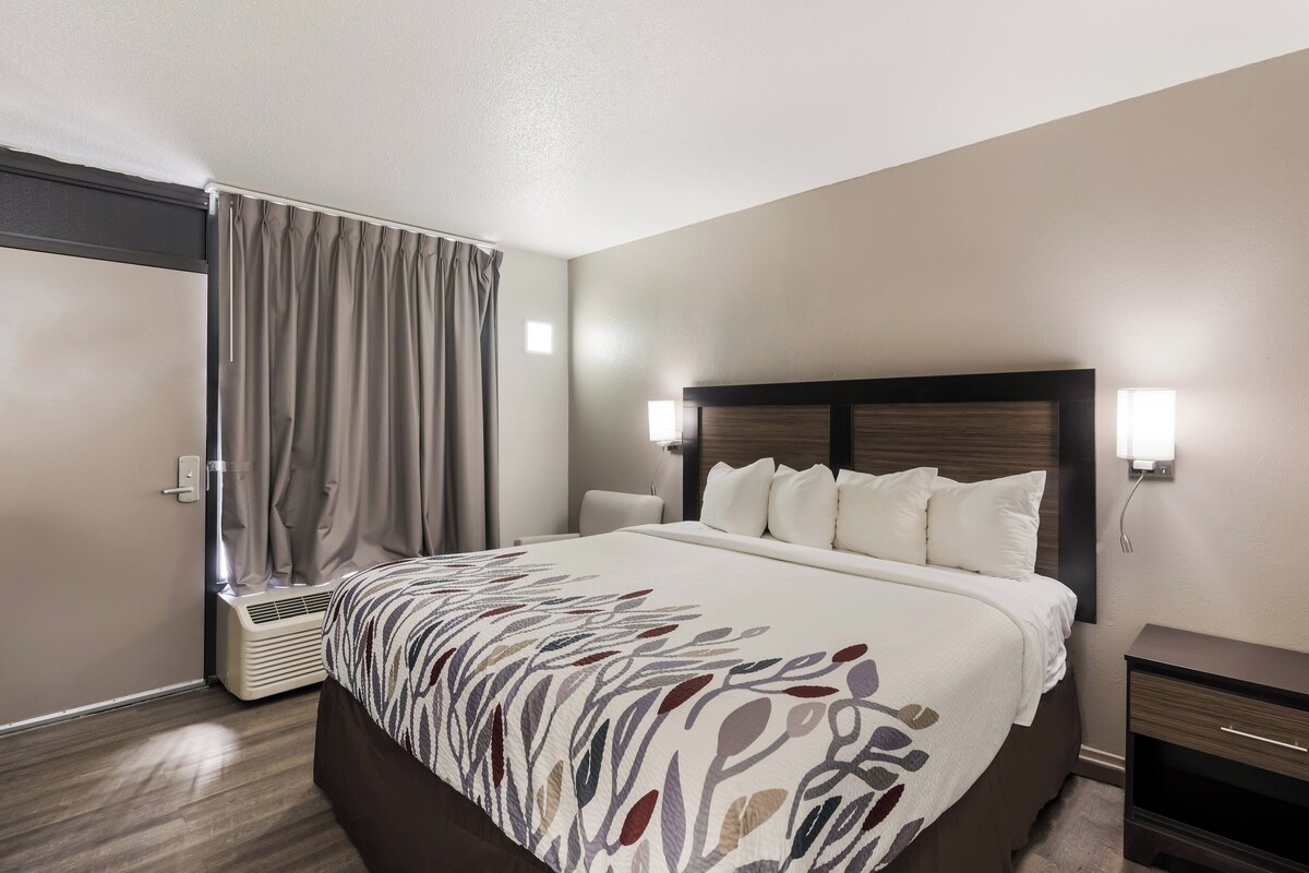 A hotel room with a large bed, a bedside table, a lamp, and a window with curtains.