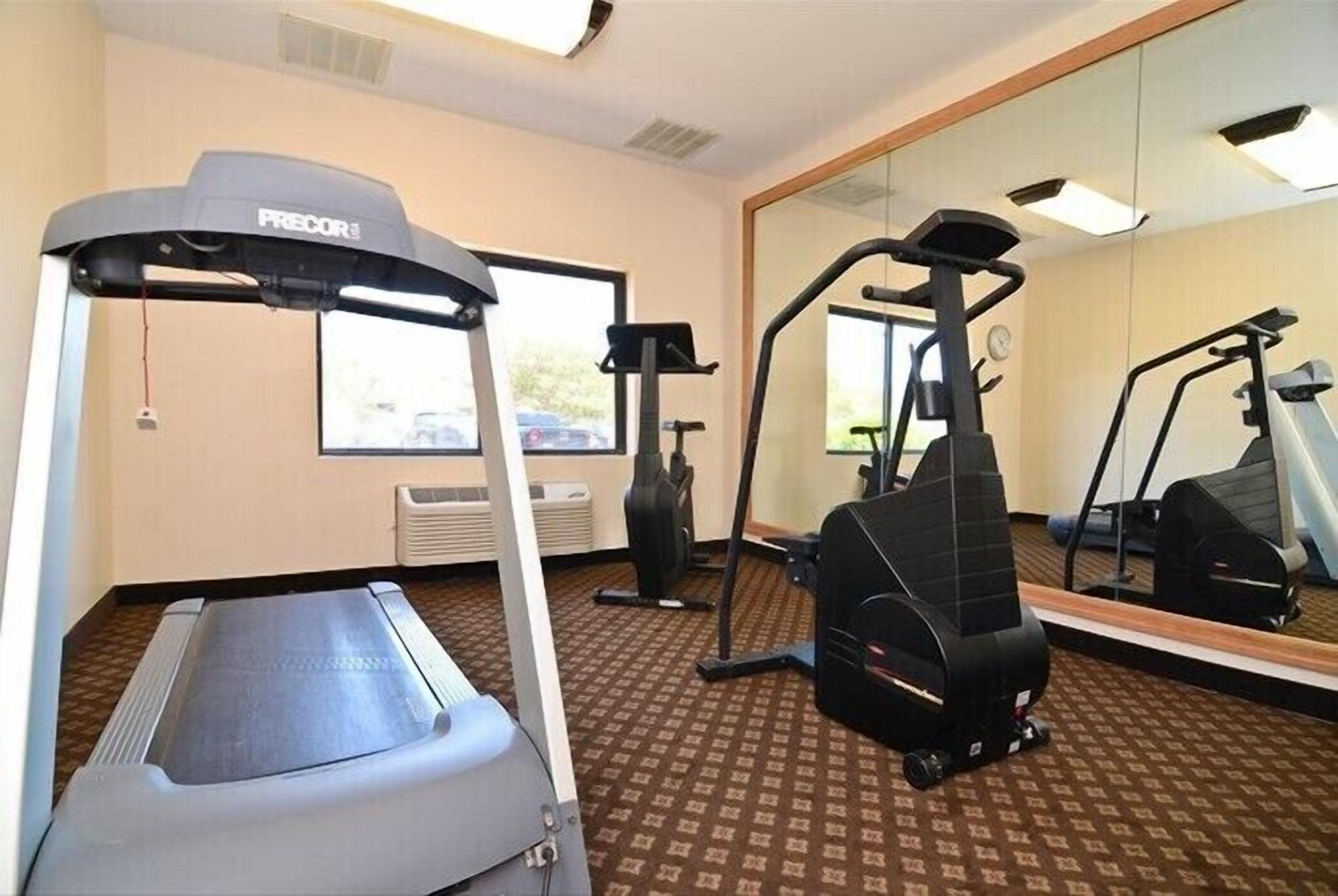 A gym with a treadmill, elliptical, and stationary bike.