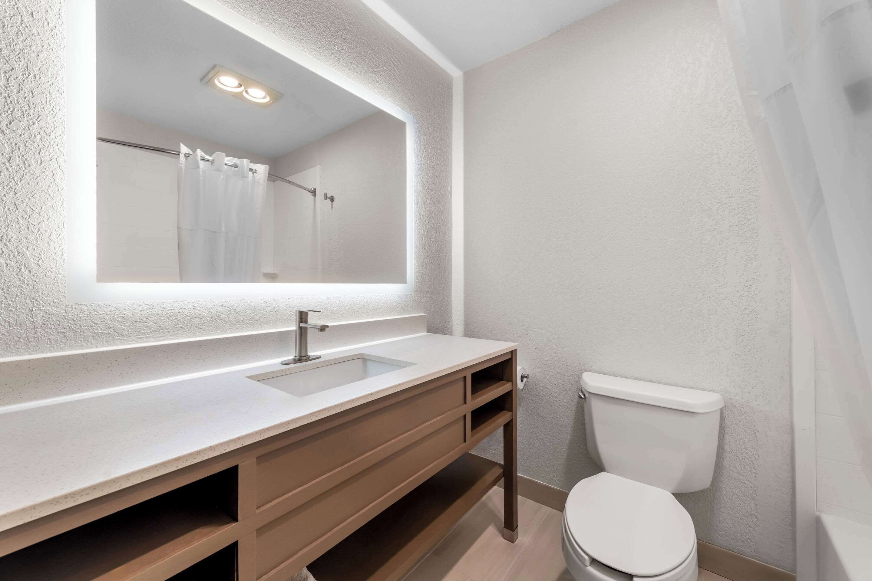 A bathroom with a white sink, a mirror, a toilet, and a shower curtain.