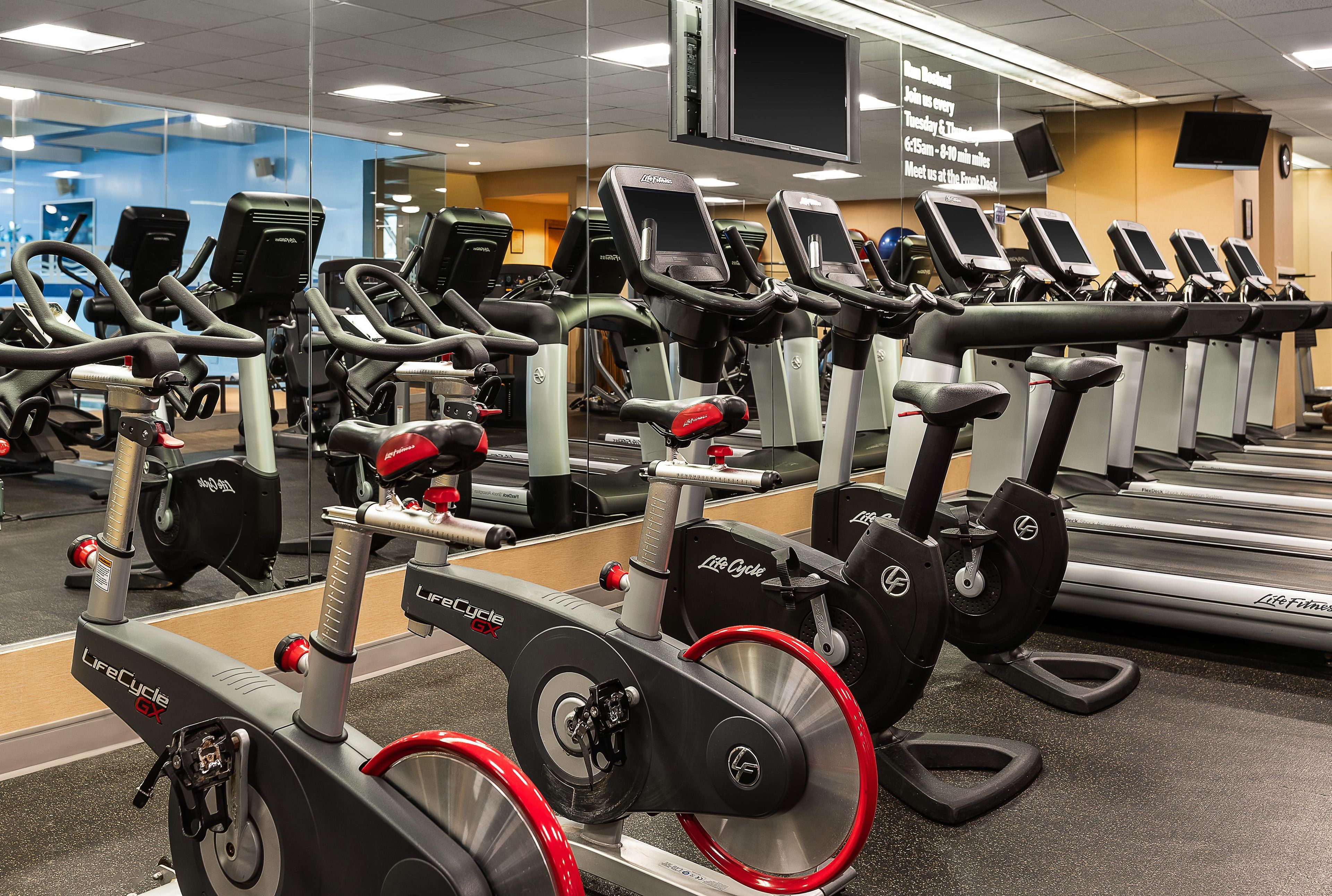 Un gimnasio con varias máquinas de cardio, incluyendo cintas de correr y bicicletas estáticas, dispuestas en filas.