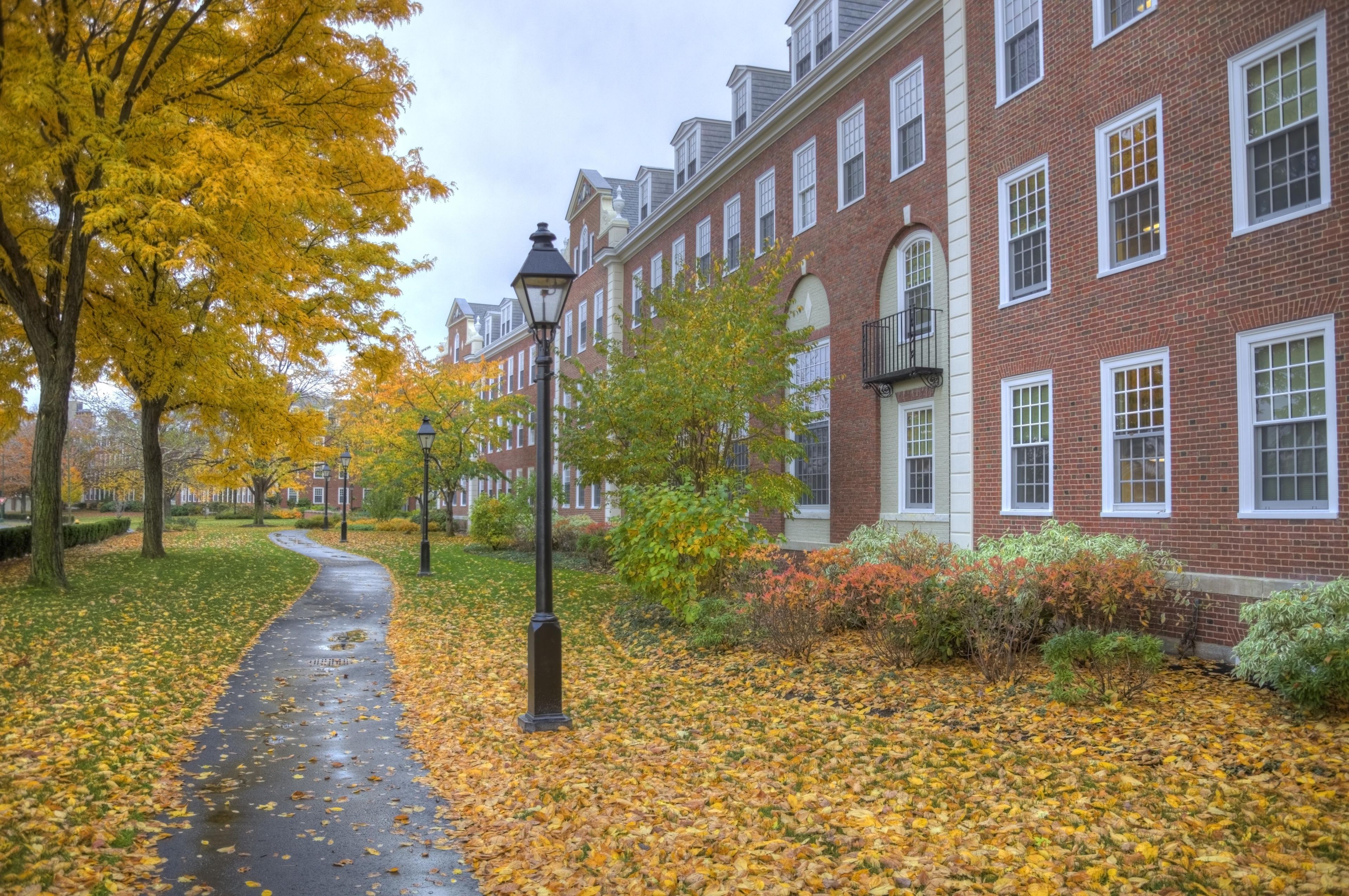 A brick building with multiple windows and a pathway covered with fallen leaves.