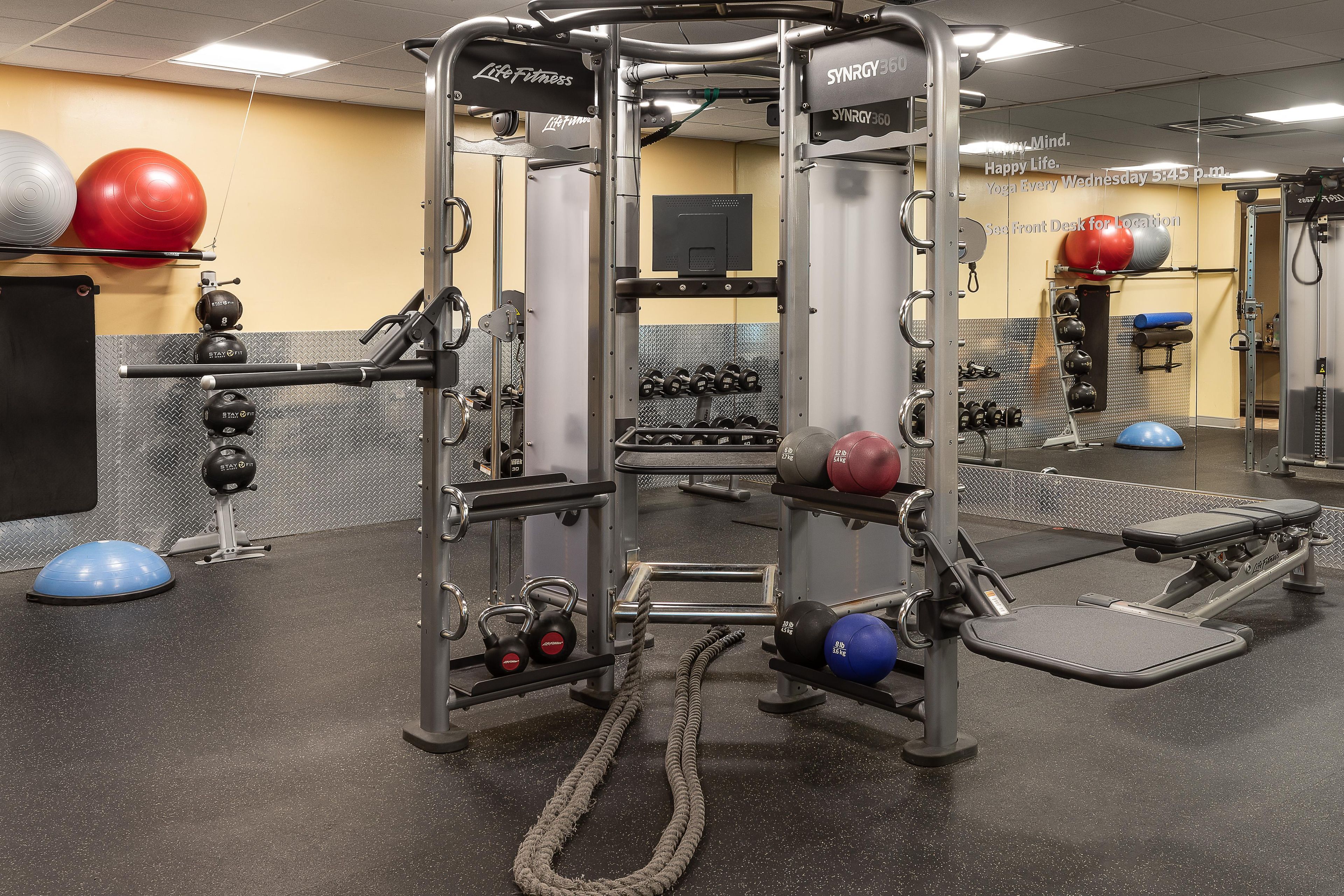 Ein Fitnessraum mit vielfältiger Ausstattung, darunter ein Squat-Gestell, Kurzhanteln und Trainingsbälle.