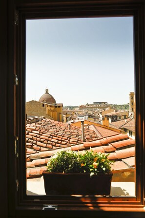 Vista desde la propiedad
