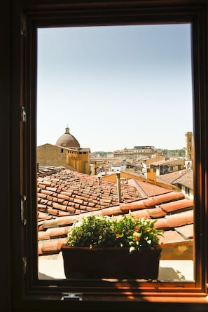 Vista desde la propiedad