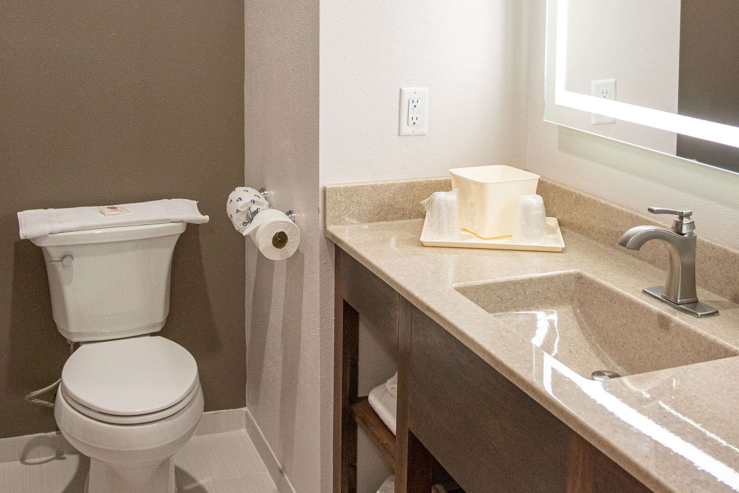 A bathroom with a toilet, a sink, and a mirror.