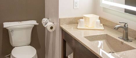 A bathroom with a toilet, a sink, and a mirror.