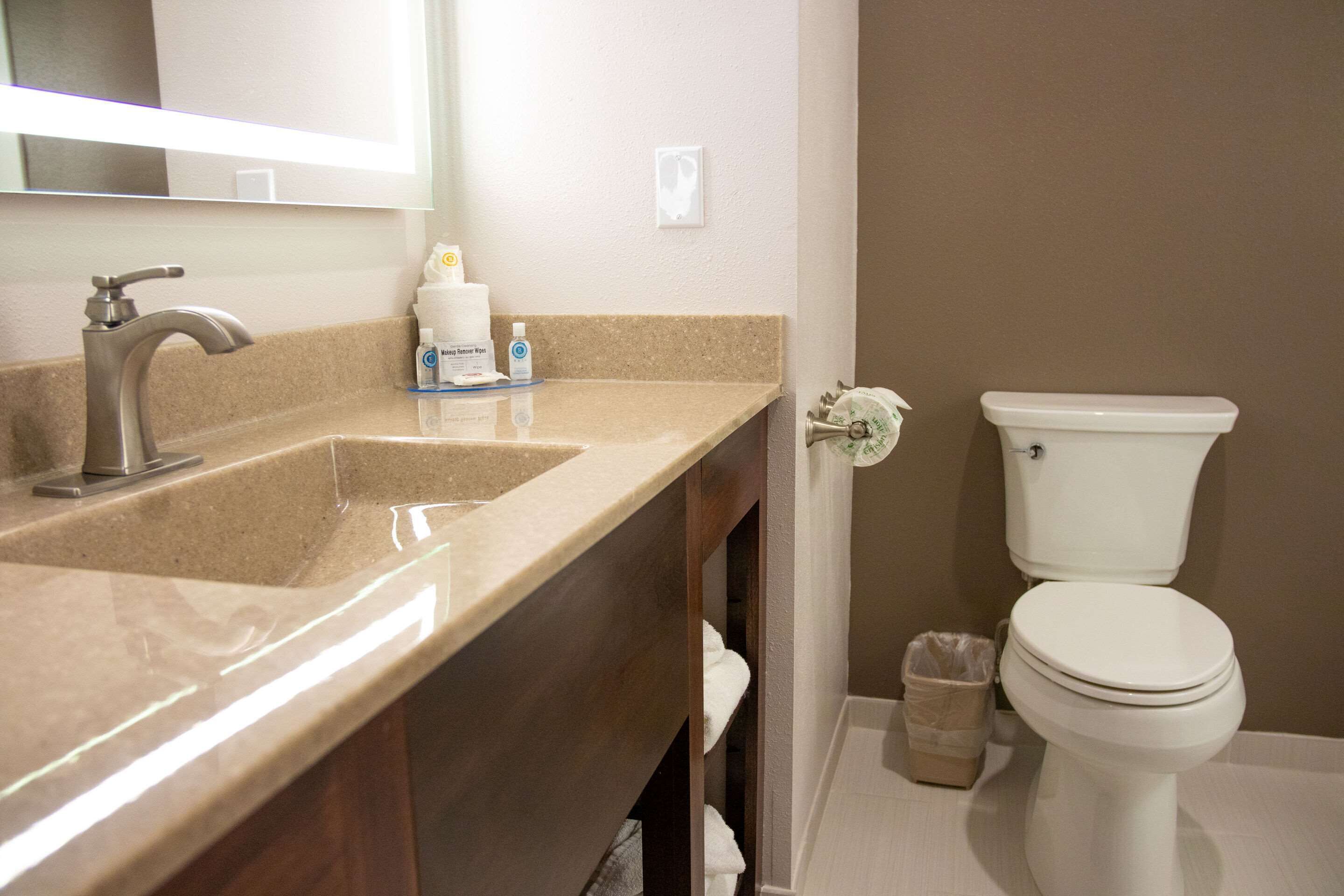 Une salle de bain avec un lavabo, un miroir et des toilettes.