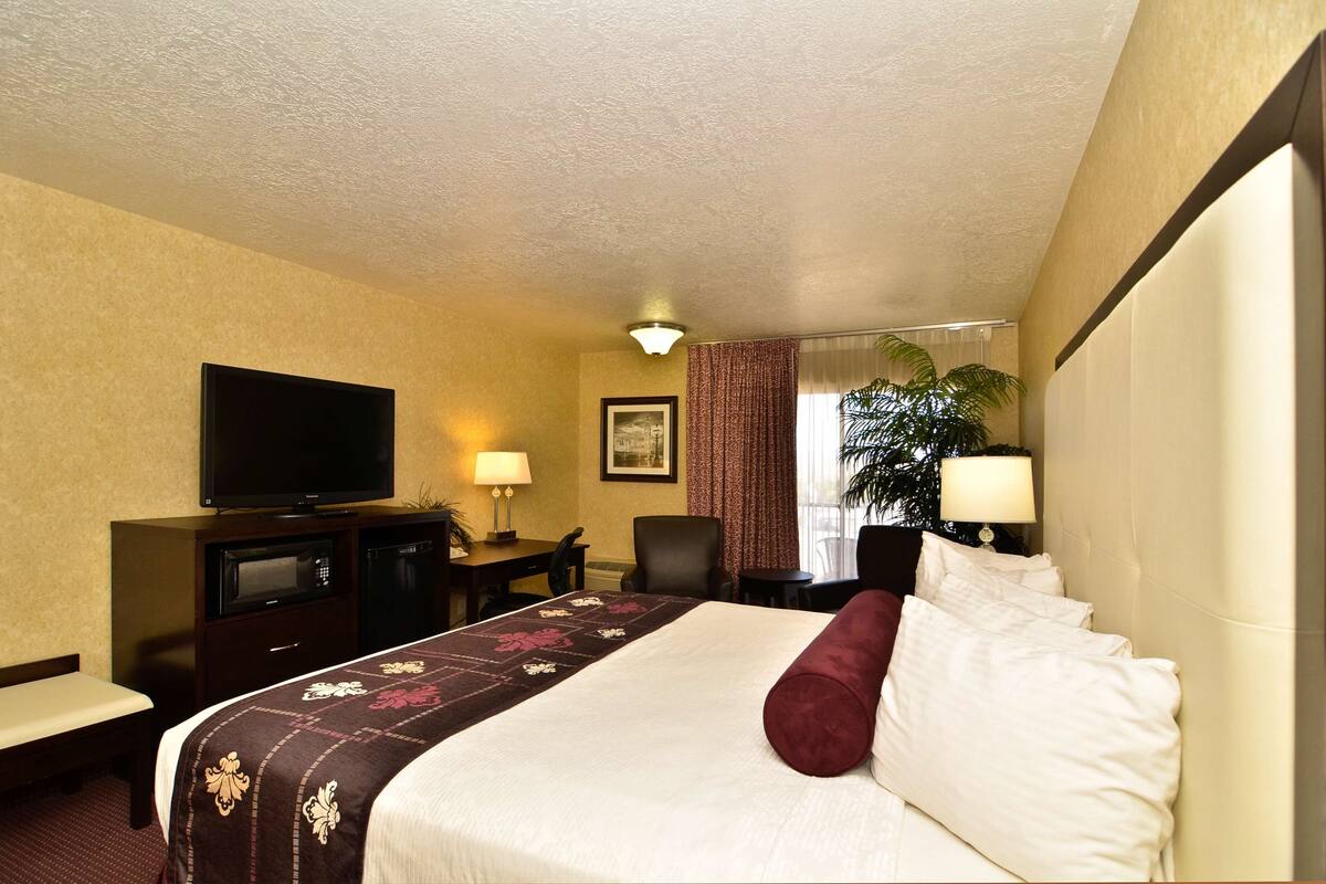 A hotel room with a bed, a television, a desk with a lamp, a chair, and a potted plant.