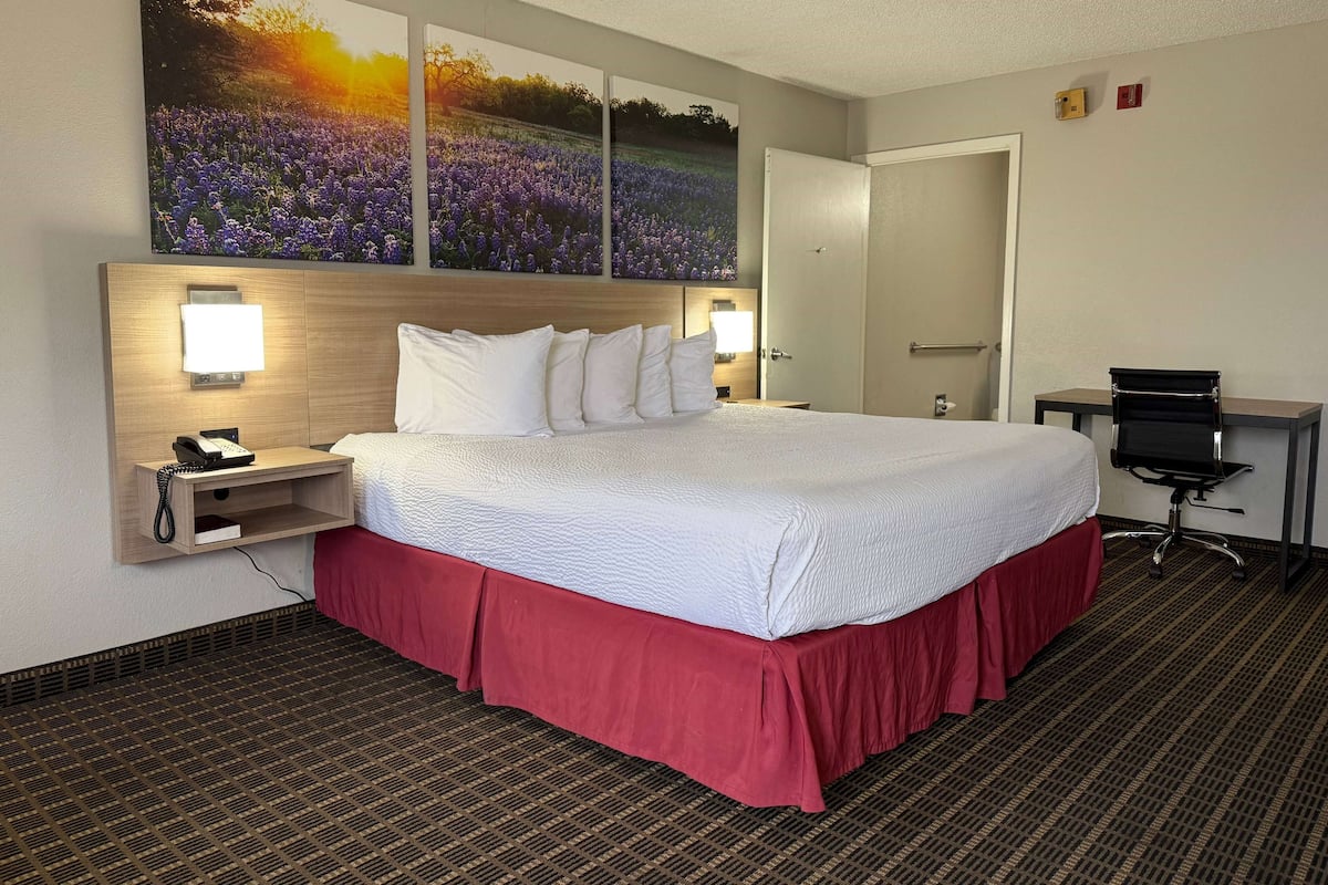 Quarto de hotel com uma cama grande, uma escrivaninha com cadeira, um telefone e um quadro de flores na parede.