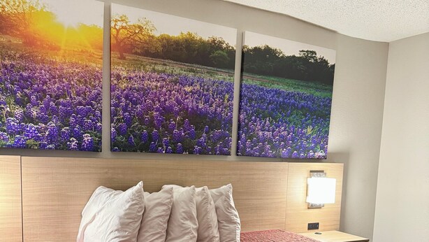 Habitación de hotel con una cama grande, cabecera con luz nocturna y tres cuadros de flores moradas colgados en la pared.
