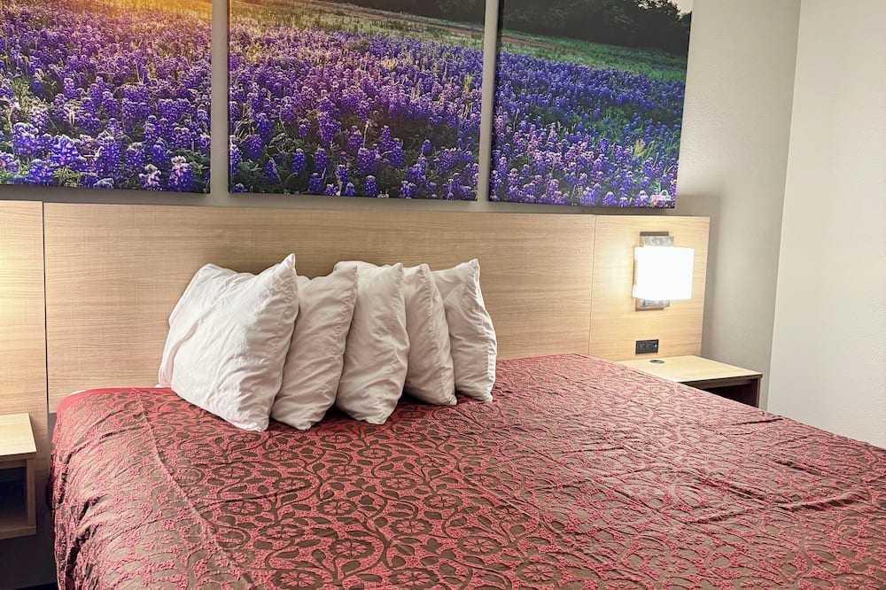 Days Inn by Wyndham San Antonio Morgan's Wonderland / IH-35 N