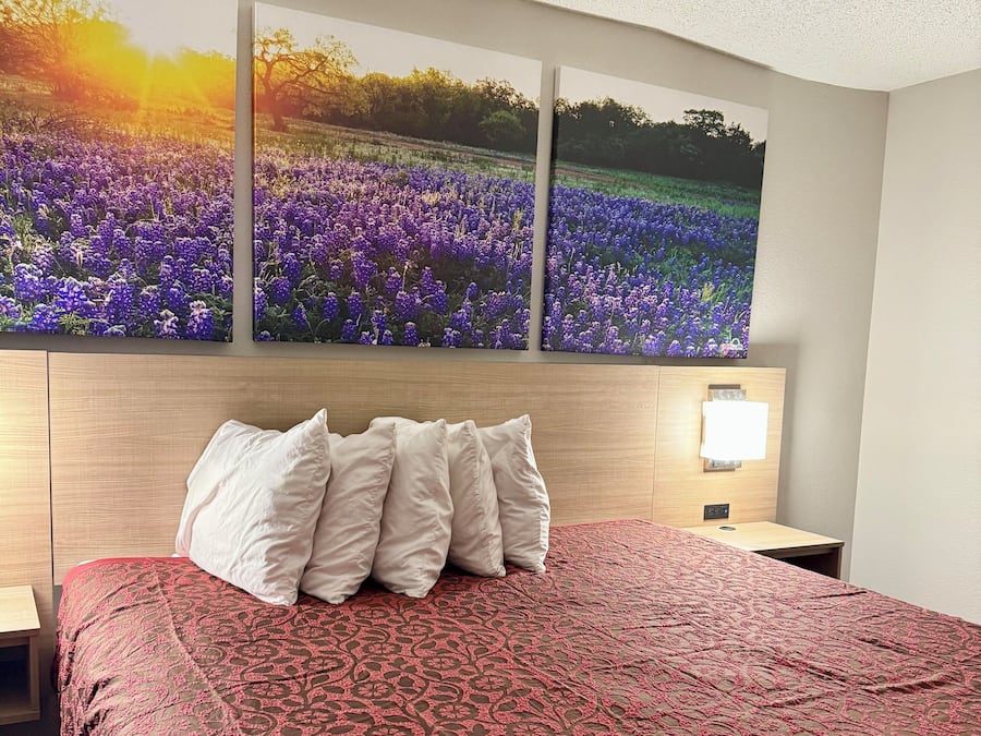 Standard Room, 1 King Bed, Smoking | Desk, blackout drapes, iron/ironing board, free cribs/infant beds