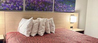 Days Inn by Wyndham San Antonio Morgan's Wonderland / IH-35 N