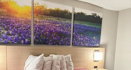 Days Inn by Wyndham San Antonio Morgan's Wonderland / IH-35 N