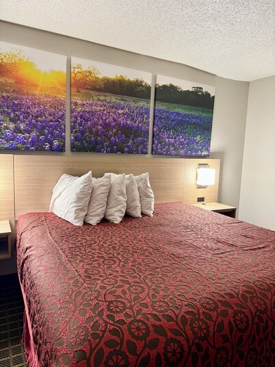 Days Inn by Wyndham San Antonio Morgan's Wonderland / IH-35 N