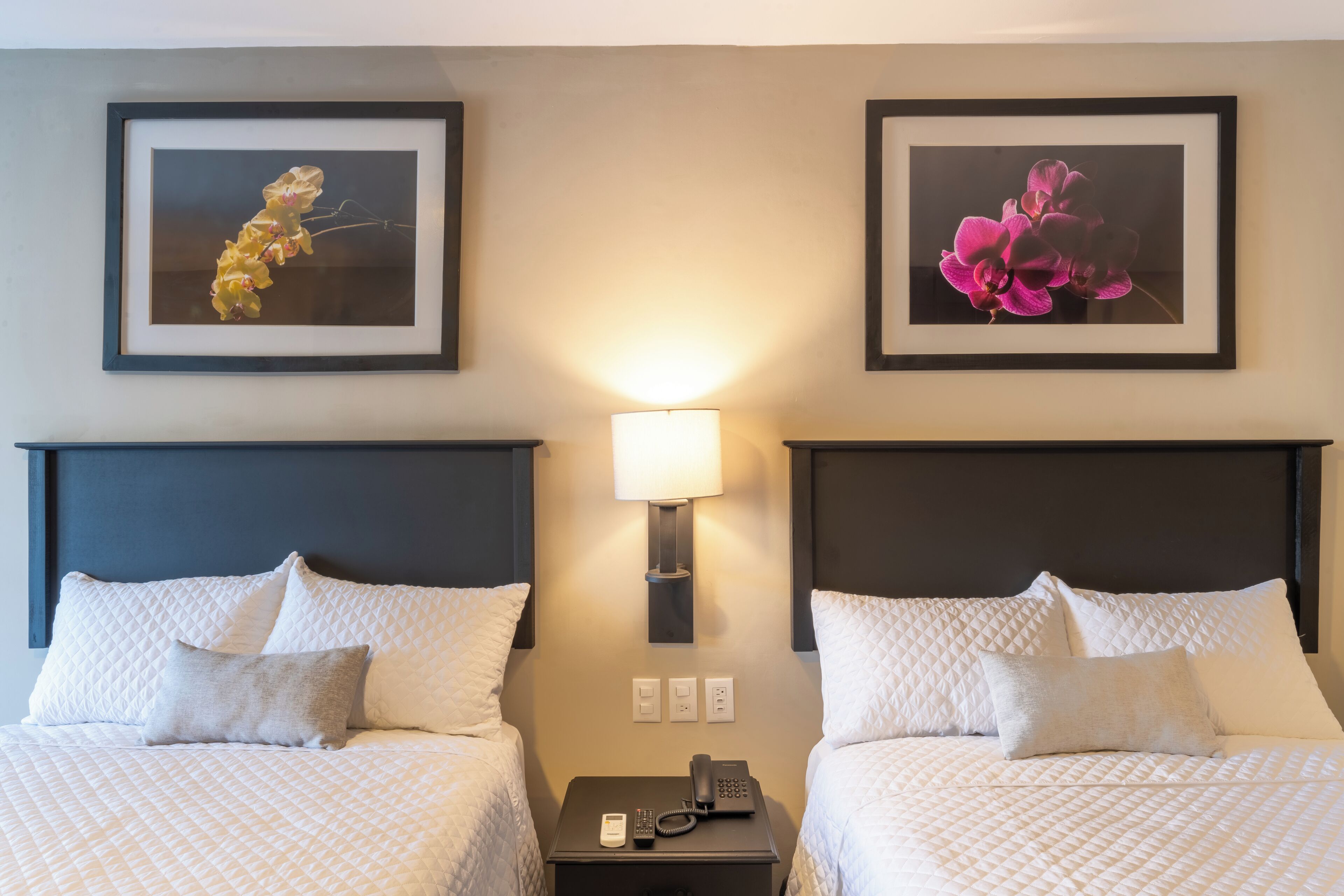 Hypo-allergenic bedding, desk, blackout drapes, soundproofing