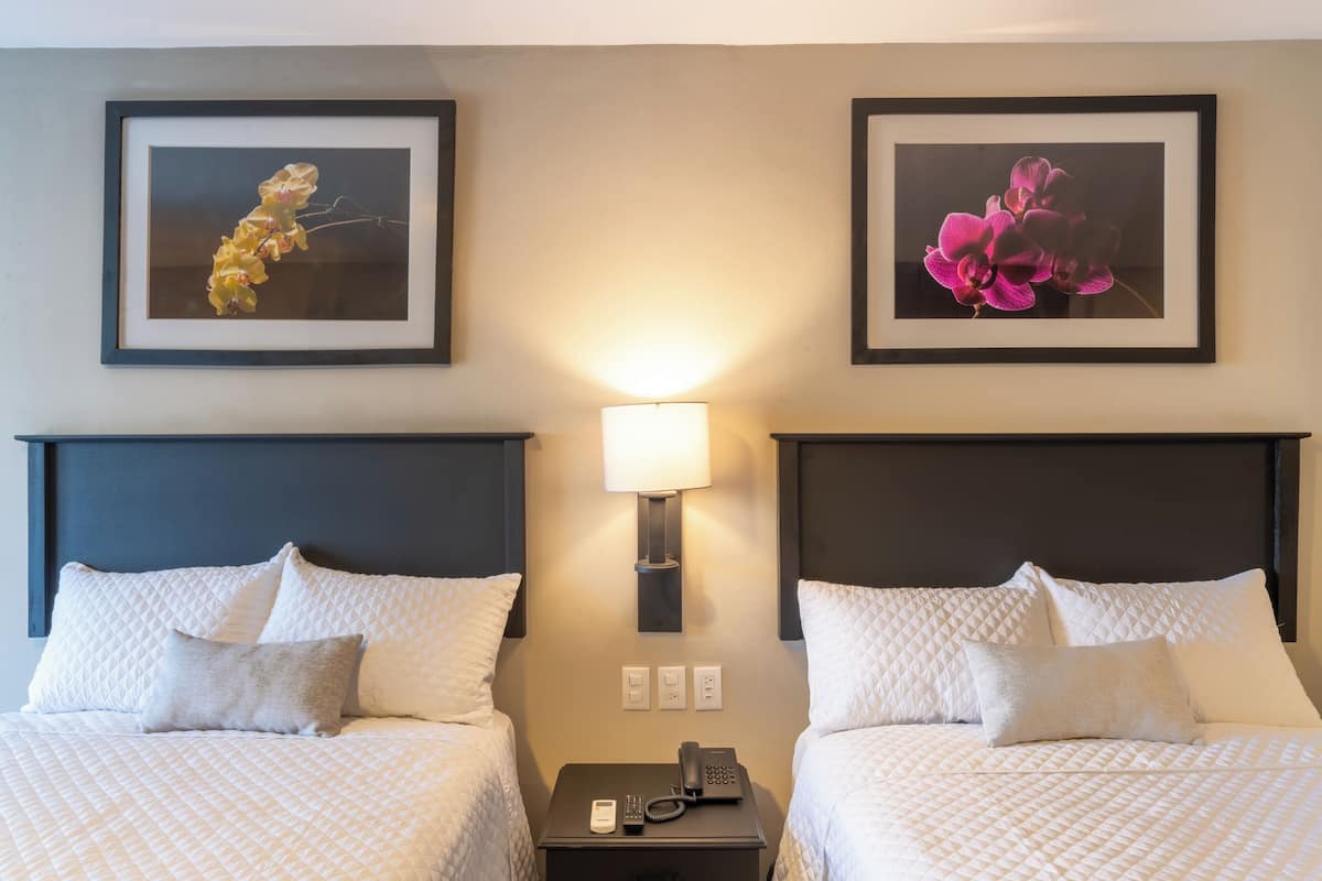 Standard-Doppelzimmer | Allergikerbettwaren, Schreibtisch, Verdunkelungsvorhänge