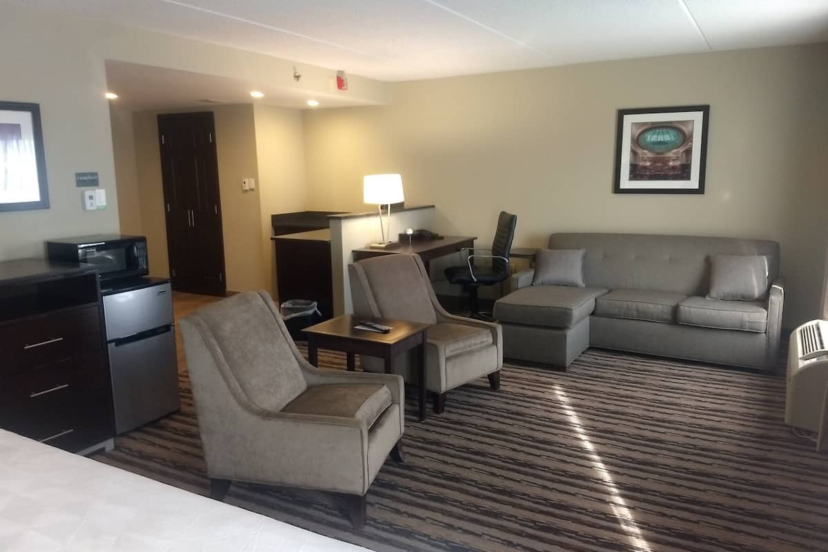 suite, 1 king bed | 1 bedroom, premium bedding, in-room safe, desk