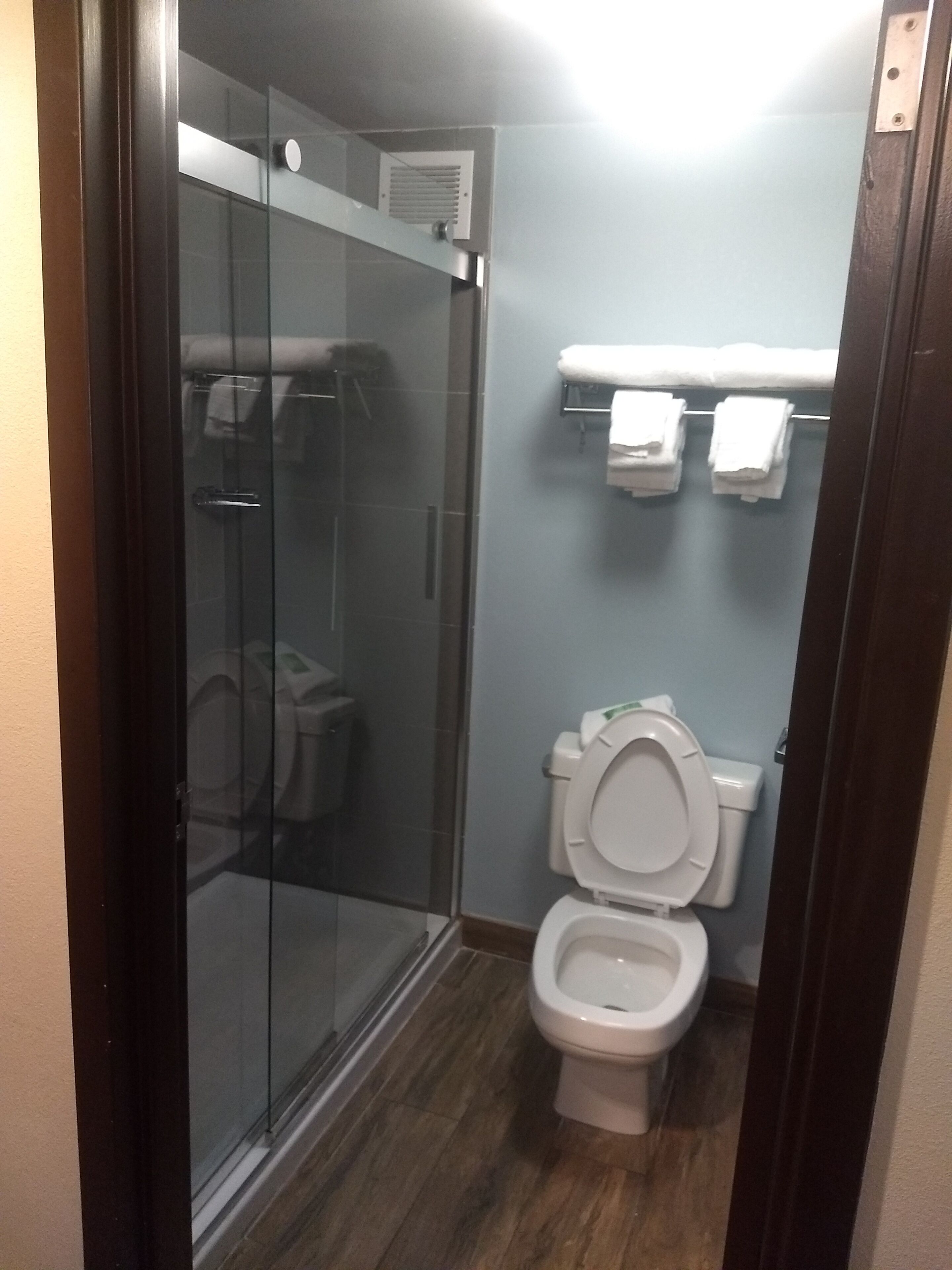 A bathroom with a glass shower enclosure, a toilet, and a towel rack.
