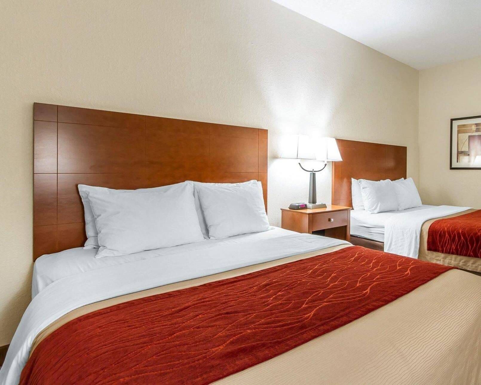 Ropa de cama de alta calidad y tabla de planchar con plancha 