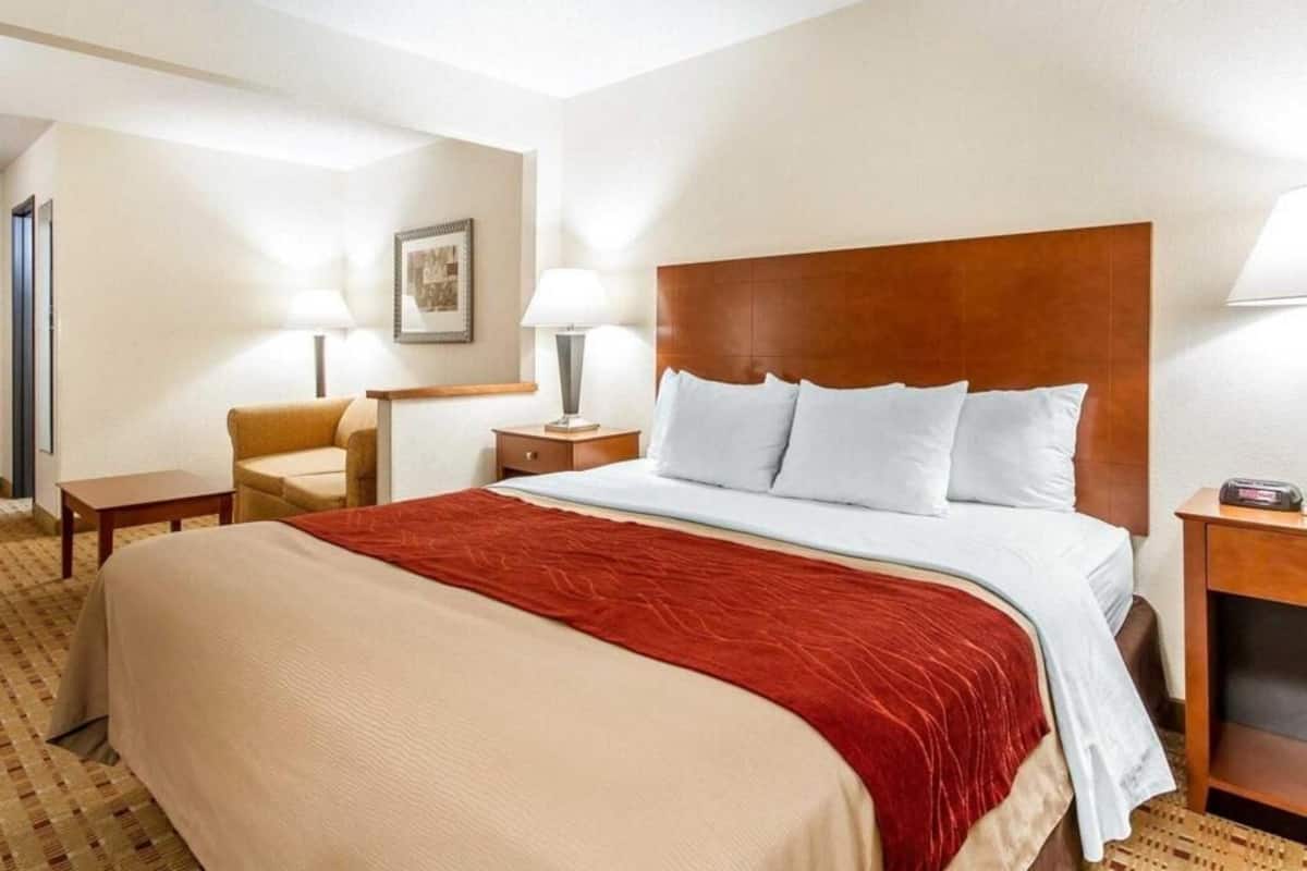 Premium bedding, iron/ironing board, free cribs/infant beds