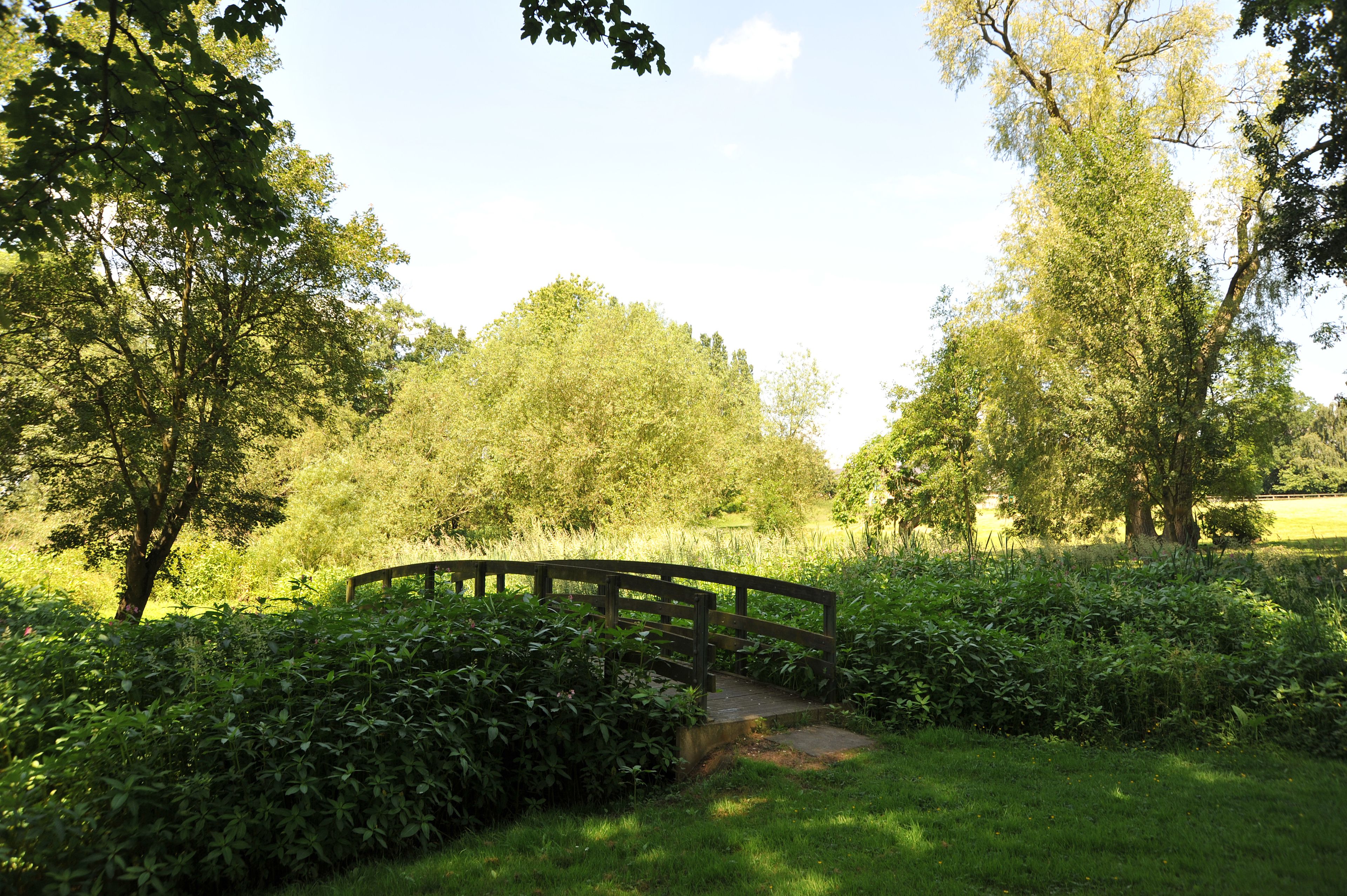 A wooden bridge over a small stream in a lush green park with trees and grass.